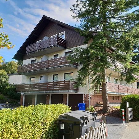 Ferienwohnung Harzlust 戈斯拉尔 外观 照片