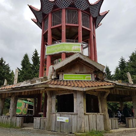 Ferienwohnung Harzlust 戈斯拉尔 外观 照片